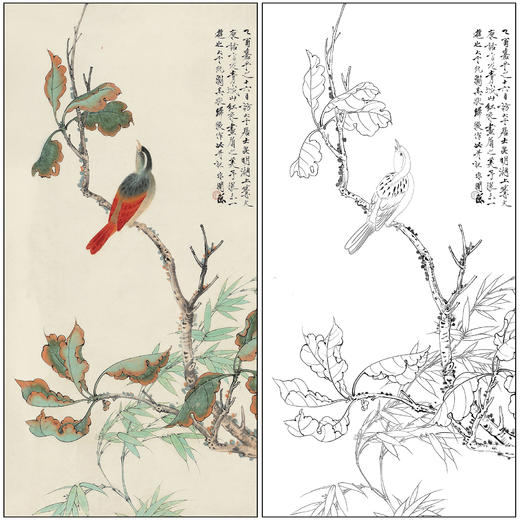 工笔画白描底稿于非闇花鸟《红衣画眉》临摹勾线高清打印稿FA72 商品图0