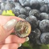新疆蓝莓葡萄 葡萄味浓郁 23.8/ 斤 商品缩略图0