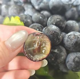 新疆蓝莓葡萄 葡萄味浓郁 23.8/ 斤