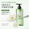 半亩花田 活力去屑洗发水（微风山茶）300g 6923427920383 商品缩略图3