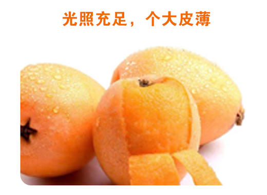 米易有机枇杷（30+大果型，彩箱4盒*400克） 商品图1