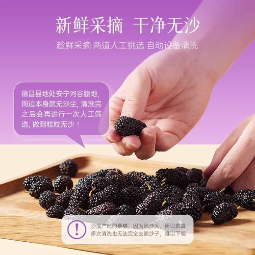 [芊芳源]桑葚干精选头茬饱满大果泡水食用口感清甜280g 商品图2