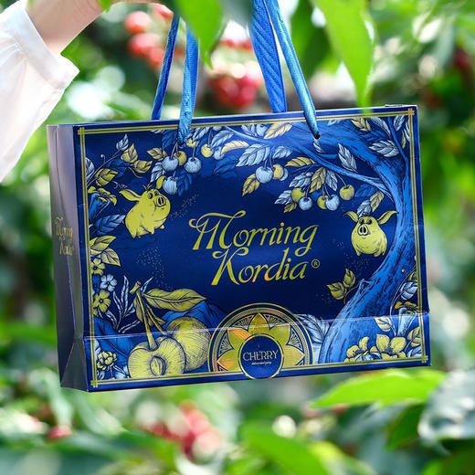 预售11号左右到仓：石家庄优选仓库速达（本周到货）大连美早樱桃4J 脆甜爆汁 果肉厚实 净重2斤礼盒装 商品图9