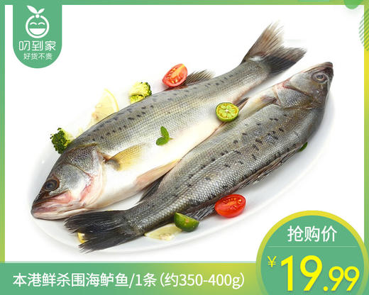 【叼鲜】本港鲜杀围海鲈鱼/1条（约350-400g） 商品图0