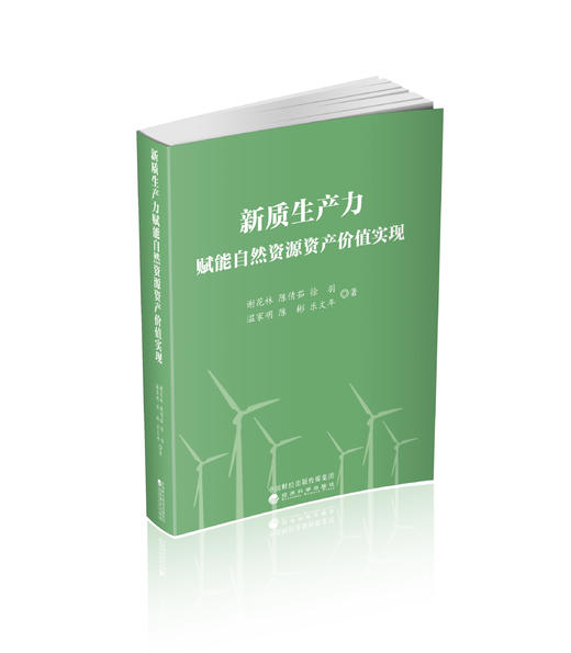新质生产力赋能自然资源资产价值实现 商品图0