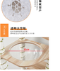 灵宠物语 猫爬架太空仓猫爬架剑麻缠绕柱可水洗毛毡款大型5层猫爬架1.5米 商品缩略图4