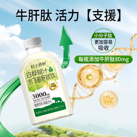 轻上桦树 白桦树汁水飞蓟肝肽饮235ml*10瓶 活力支援 熬夜应酬常备 72小时发货（开盖后需冷藏保存） 商品图6
