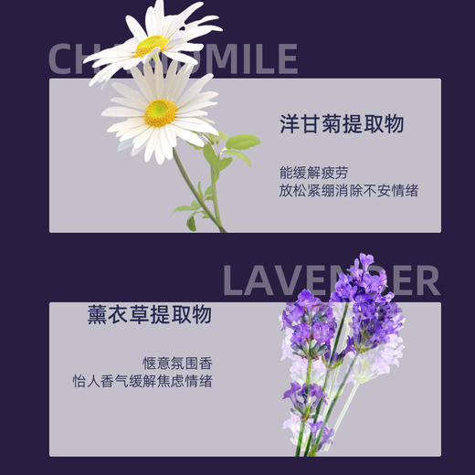 KANCHIA康安佳 深度睡眠枕头喷雾100ml 9551023770025 商品图4