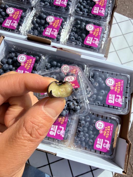 佳沃14+花香蓝莓 商品图2