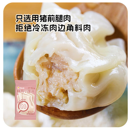 【暖家】简而盐三文鱼馄饨/鲜肉小馄饨组合装 商品图2