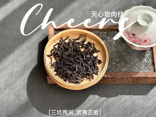 【春茶特惠集市】2025天心岩肉桂，桂皮香、蜜桃香、果香、木质香，超长待机，15冲后尾水还带着甜 商品图5