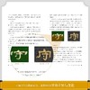 字里行间：中国书法三千年 商品缩略图3
