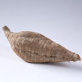 种田婆合水粉葛|味道甘甜 粗纤维少 淀粉量丰富 新鲜粉嫩无渣【清明期间正常发货】