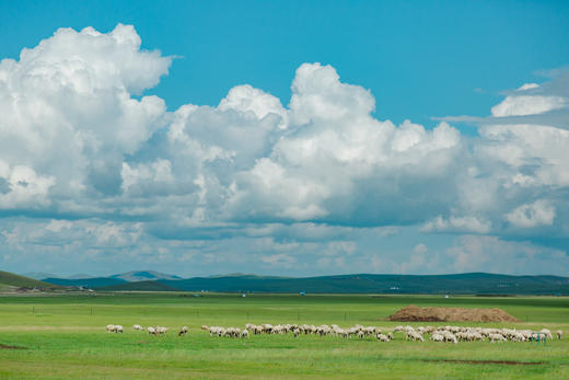 【银发爸妈团】8天7晚有趣有伴有风景，不累不赶不匆忙。定金专拍 商品图4