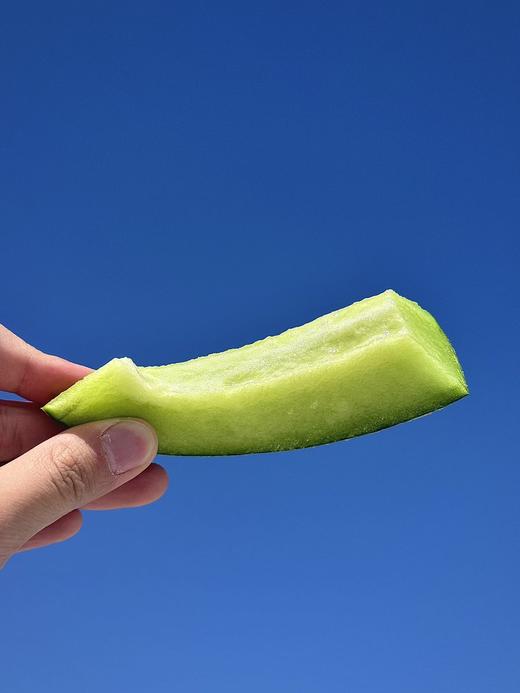 「全年可售」一藤一瓜·青露蜜瓜｜蜜蜂授粉（17°甜·包脆）txa 商品图2