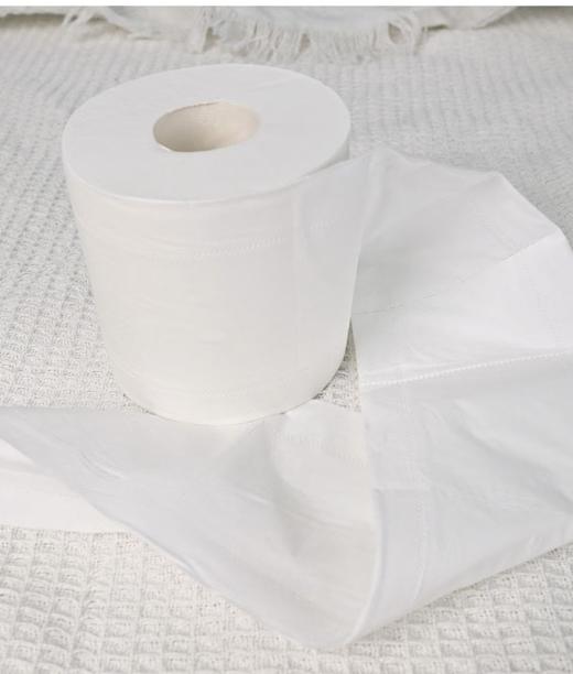 洁柔face空心卷纸1800g（1*10） 商品图3