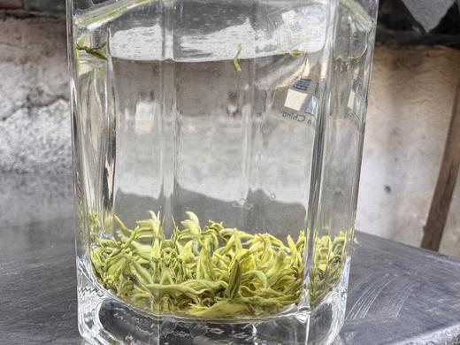 2026年 [头采微叶] 小叶种碧螺春（西山·洞庭山）100克起 商品图3