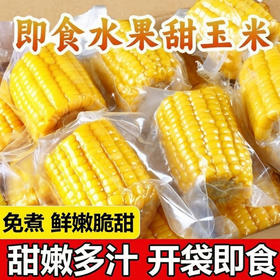 【从鲜开始❗️水果玉米段】免煮开袋即食，清甜多汁口感脆嫩，汁水超多膳食纤维，整箱 20 袋便携装，真空包装玉米学生宿舍零食早餐代餐家用QQ