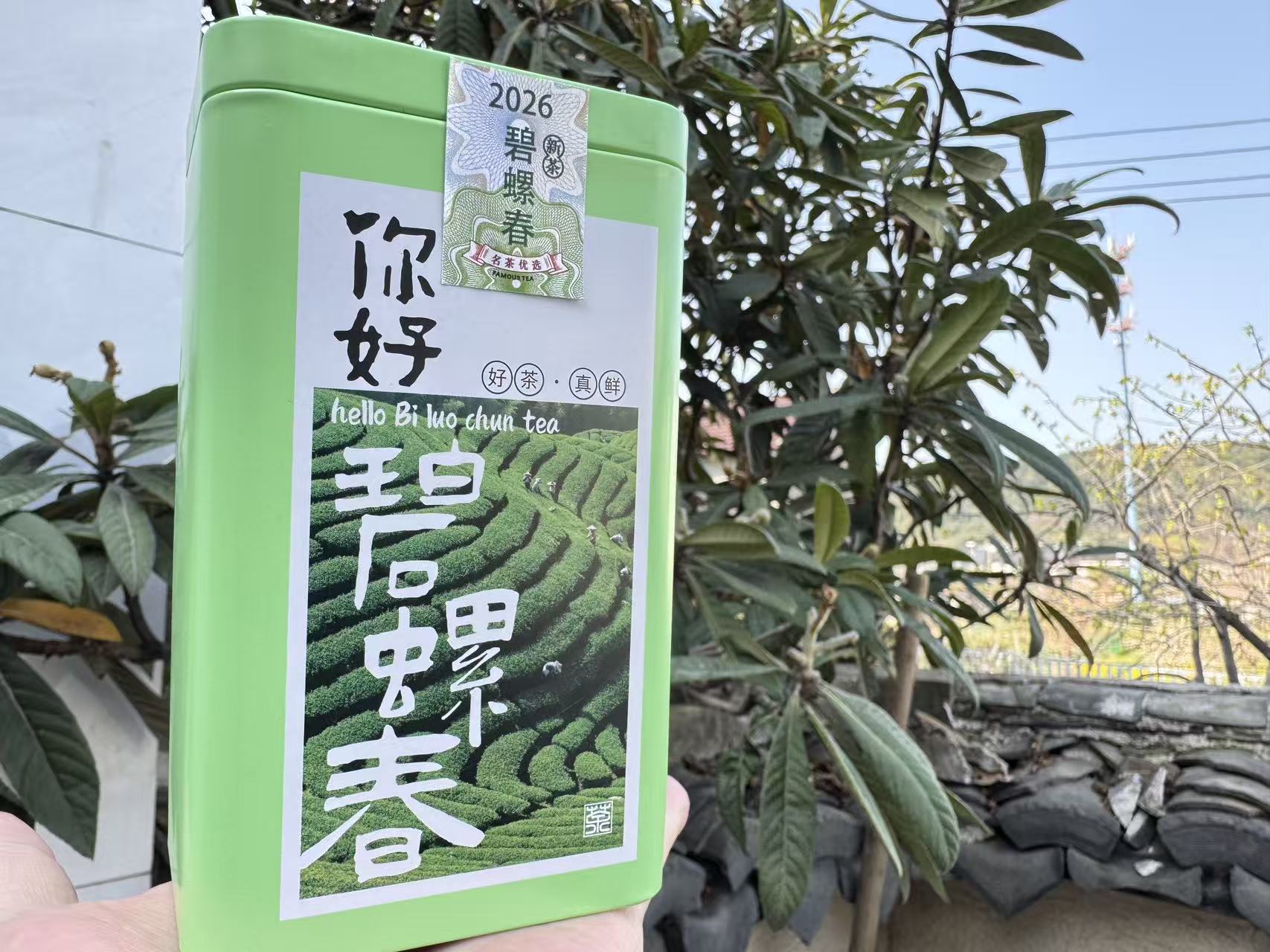 2026春  [头采芽尖] 正宗小叶种碧螺春 （西山·洞庭山）100克起