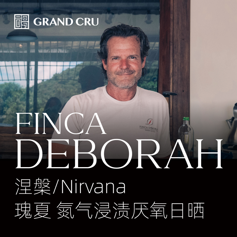 2026新产季 | 黛博拉 | Nirvana 涅槃批次 | 氮气浸渍厌氧日晒 瑰夏