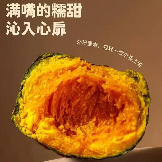 【会员20/盒】那园子叁色栗栗贝贝南瓜 商品图2