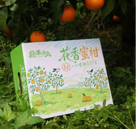 【云南无核蜜柑 48小时发货 家庭装/礼盒装】春日甜蜜暴击爆汁花香蜜柑，一口咬出阳光的味道🌞 商品图4