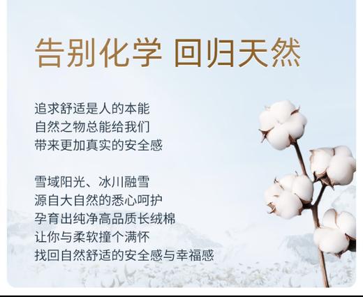 七度空间天山绒面极薄型夜用290mm三联包 商品图2