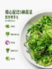 MM 山姆 蔬菜沙拉 500g 商品缩略图4
