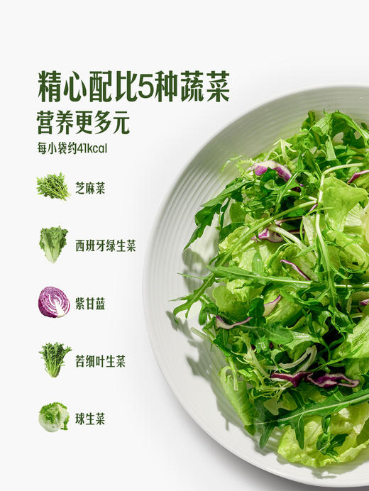 MM 山姆 蔬菜沙拉 500g 商品图4