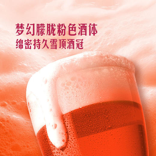 MM 山姆 黑狮 红心芭乐果啤 330ml*12 商品图6