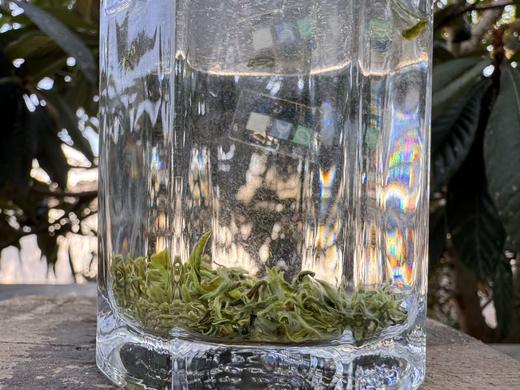 2026春  [头采芽尖] 正宗小叶种碧螺春 （西山·洞庭山）100克起 商品图1