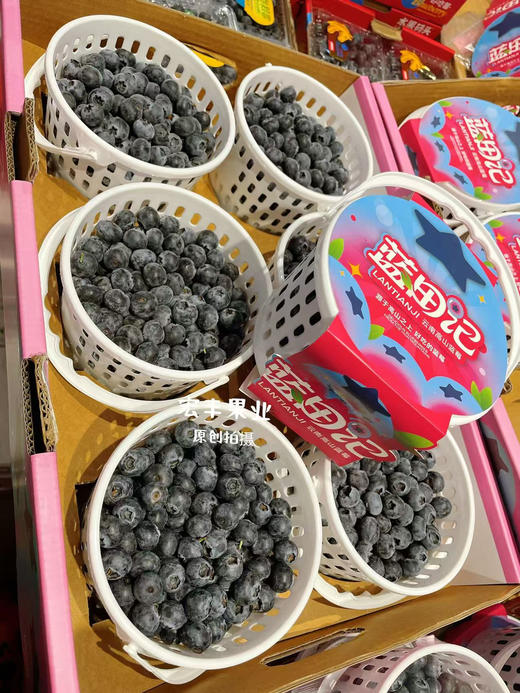宏丰精选 云南花香蓝莓，口感纯甜，超级好吃，活动价39.9一桶 商品图4