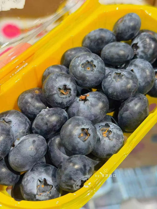 雪山恬云南脆甜蓝莓22+ 商品图9