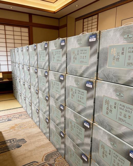 山姆新品‼️‼️Membr‘s Mark桑蚕长丝夏被  200cm*230cm适用于1.5M1.8M床 商品图1