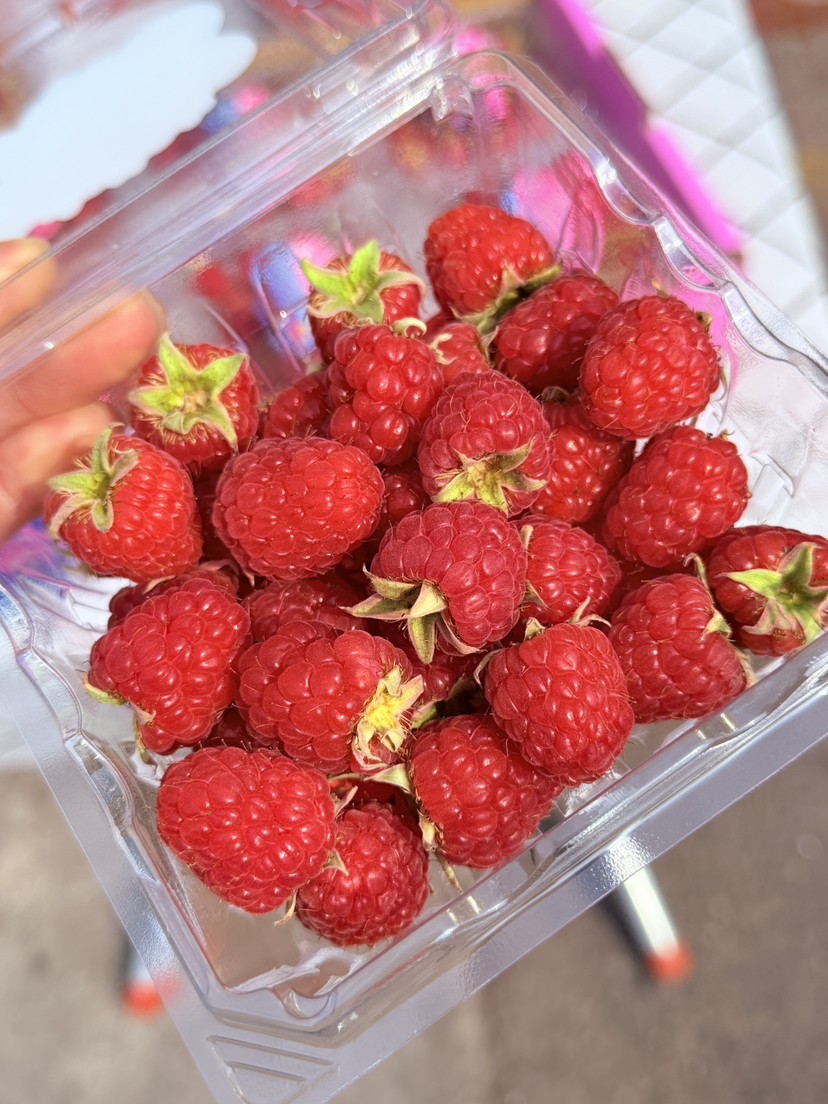 【云南花蝶香红树莓】