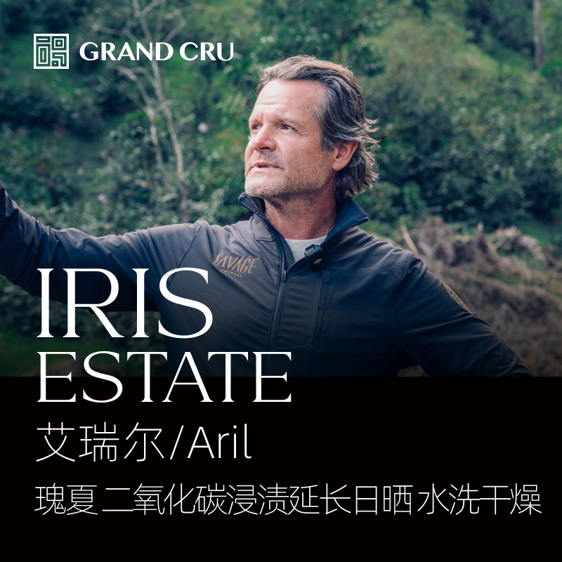 2026新产季｜伊利斯 | 艾瑞尔/Aril批次 | 二氧化碳浸渍延长日晒 水洗干燥瑰夏