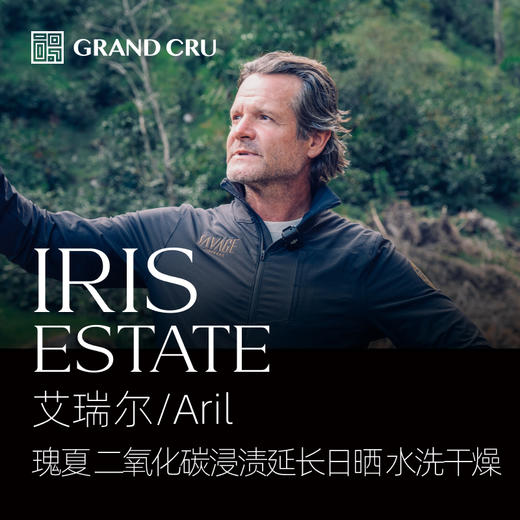 2026新产季｜伊利斯 | 艾瑞尔/Aril批次 | 二氧化碳浸渍延长日晒 水洗干燥瑰夏 商品图0