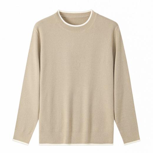 【门店同款】极简风圆领羊毛混纺针织衫男长袖休闲毛衣1Q1112502 商品图2