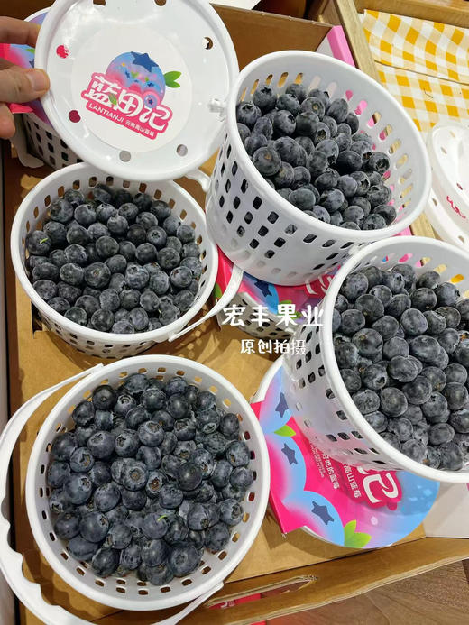 宏丰精选 云南花香蓝莓，口感纯甜，超级好吃，活动价39.9一桶 商品图6