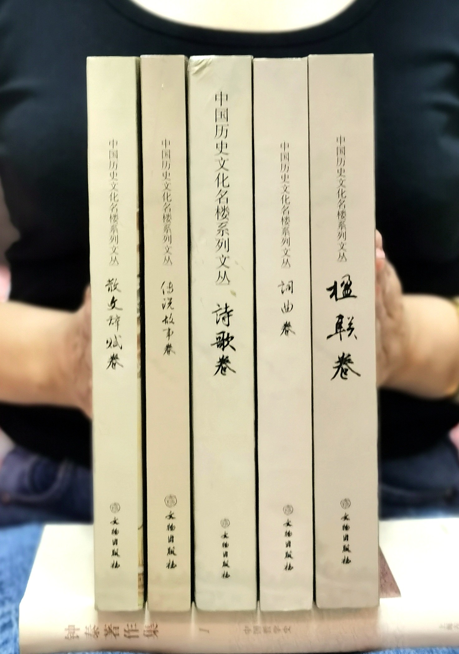 【1.6折】《中国历史文化名楼系列文丛》，16开，平装，全5册，黄二良等主编，文物出版社2017年一版一印，总页数：2477页，定价612元，售价：99元。