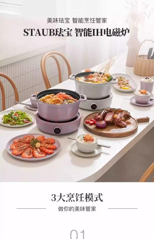 【B1】双立人staub珐宝智能IH电磁炉套组 商品图1