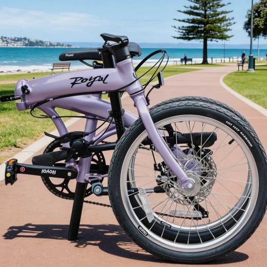 【成人/5岁+】 优贝Luma露玛折叠车送车锁 成人儿童骑行 16/20寸【品牌方天津发货】 商品图1