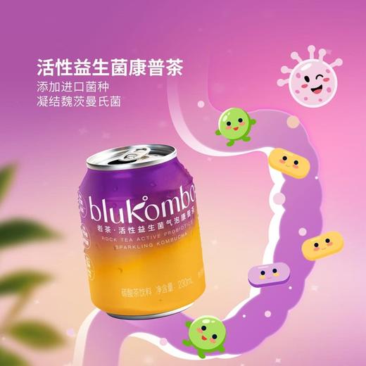 MM 山姆 Drinksba岩茶活性益生菌气泡康普茶 230ml*20 商品图2