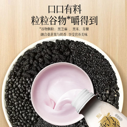 轻上东方补者桑葚五黑酸奶饮品220ml*10瓶 商品图4