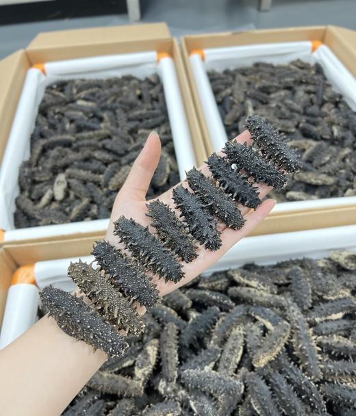 & 精选九年纯淡干海参，泡发率高，肉质紧实，营养价值非常高远超普通参品！！ 商品图11