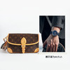 【全新】LV路易威登DIANE M45985老花黑肩带DIANE法棍包单肩包女士260326NJT38 商品缩略图9