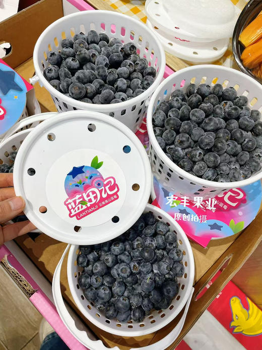 宏丰精选 云南花香蓝莓，口感纯甜，超级好吃，活动价39.9一桶 商品图1