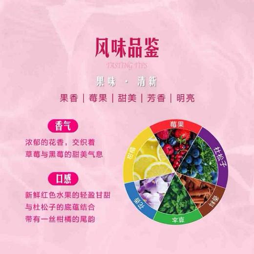 MM 山姆 哥顿 英国进口 莓果味粉红金酒 700ml 商品图2