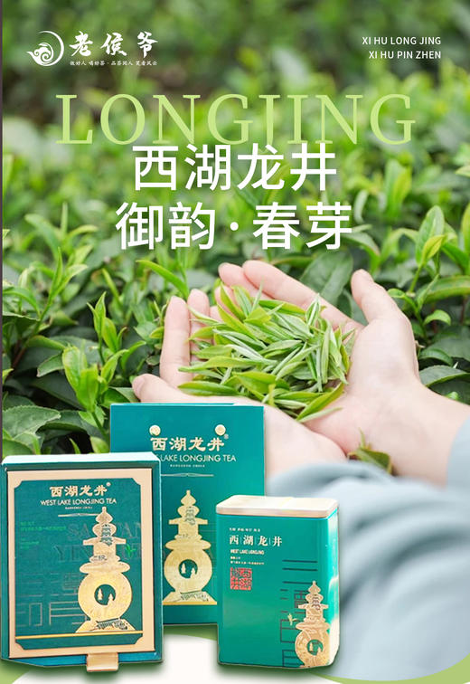 26年明前西湖龙井·国礼茶叶品牌【老侯爷】源头采摘  明前采摘 商品图0