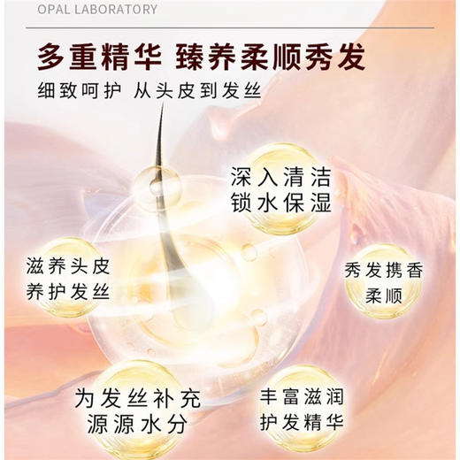 【保湿补水 ！绵密泡沫】澳宝洗发露480g香氛持续留香改善干枯毛躁控油蓬松柔顺去屑洗发水。xa 商品图3